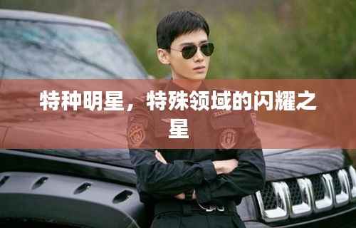 特种明星,特殊领域的闪耀之星