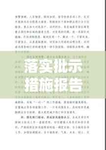 落实批示措施报告,批示落实情况