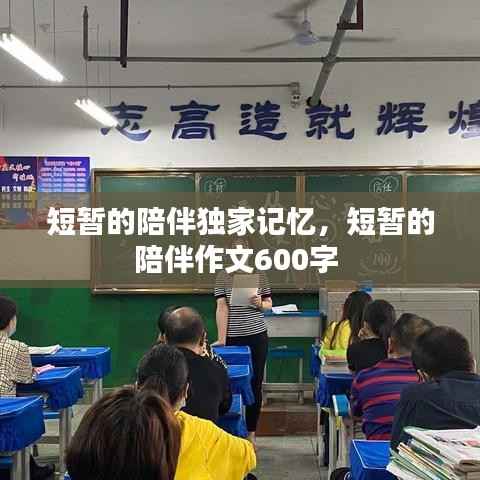短暂的陪伴独家记忆,短暂的陪伴作文600字
