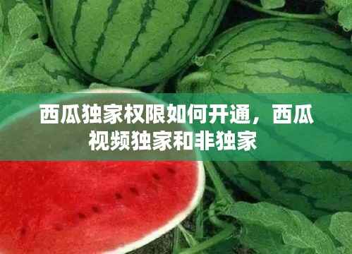 西瓜独家权限如何开通,西瓜视频独家和非独家