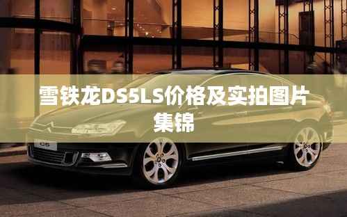 雪铁龙DS5LS价格及实拍图片集锦