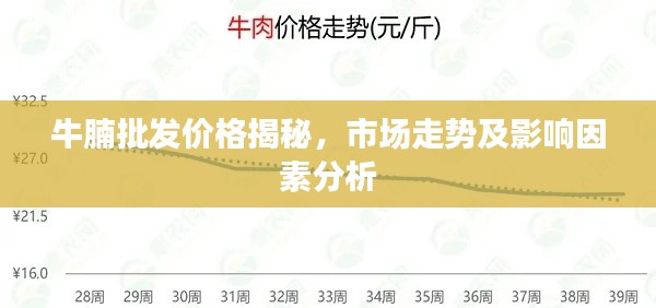 牛腩批发价格揭秘,市场走势及影响因素分析