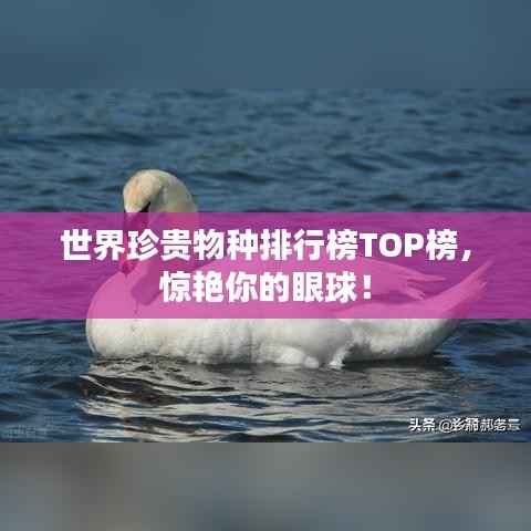 世界珍贵物种排行榜TOP榜,惊艳你的眼球!