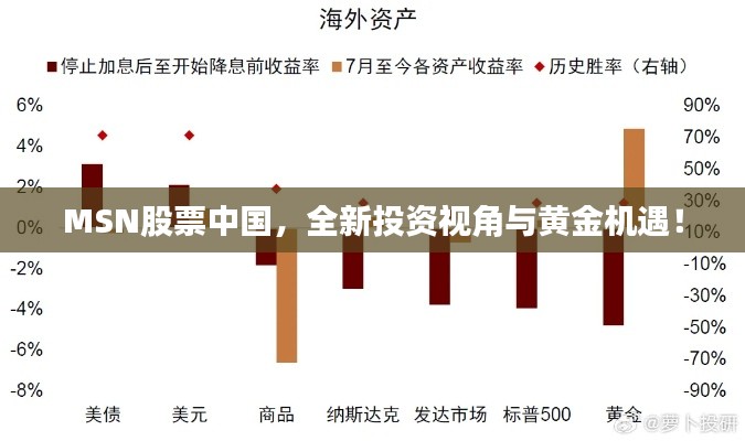 MSN股票中国,全新投资视角与黄金机遇!