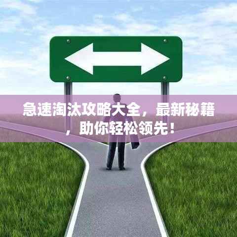 急速淘汰攻略大全,最新秘籍,助你轻松领先!