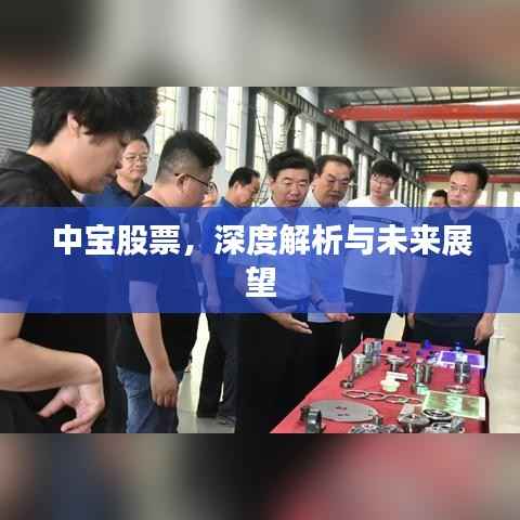 中宝股票,深度解析与未来展望