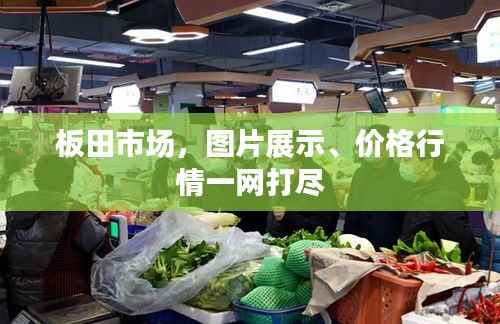 造价咨询 第104页