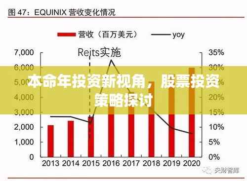 本命年投资新视角,股票投资策略探讨