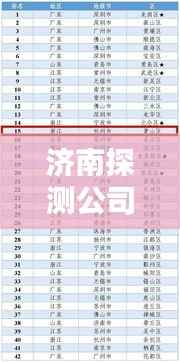 济南探测公司排名揭秘,专业权威的探测公司榜单出炉!