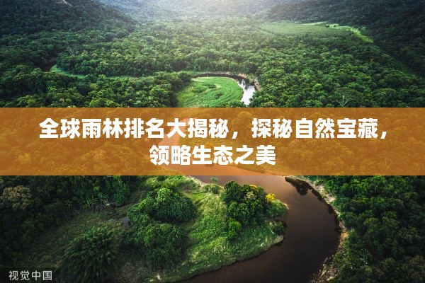 全球雨林排名大揭秘，探秘自然宝藏，领略生态之美