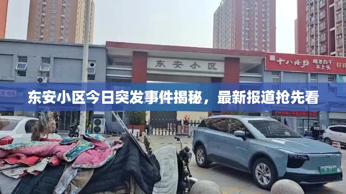 东安小区今日突发事件揭秘,最新报道抢先看