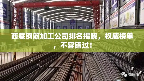 西藏钢筋加工公司排名揭晓,权威榜单,不容错过!