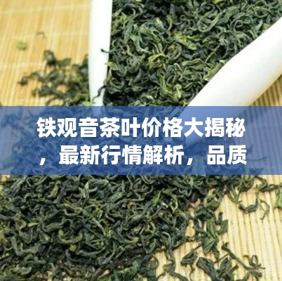 铁观音茶叶价格大揭秘,最新行情解析,品质与价格双重保障!