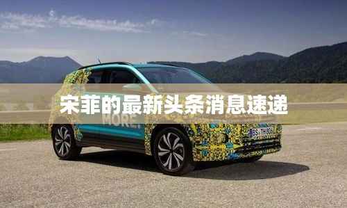 宋菲的最新头条消息速递