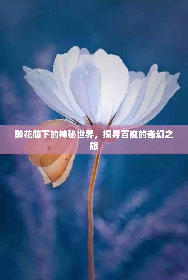 醉花荫下的神秘世界,探寻百度的奇幻之旅