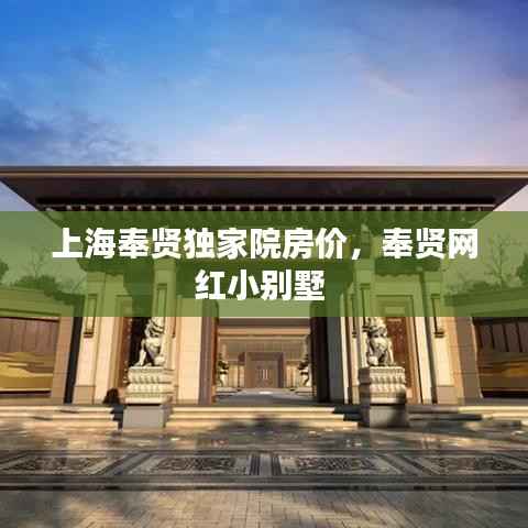 上海奉贤独家院房价,奉贤网红小别墅