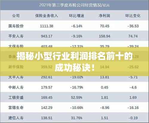 揭秘小型行业利润排名前十的成功秘诀!