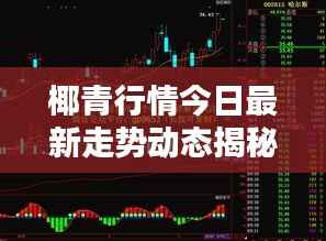 椰青行情今日最新走势动态揭秘