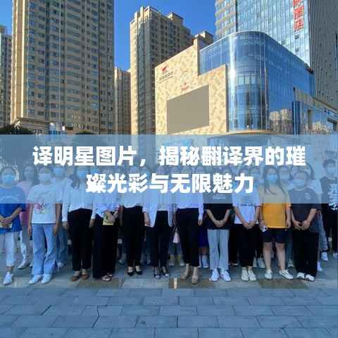 译明星图片，揭秘翻译界的璀璨光彩与无限魅力