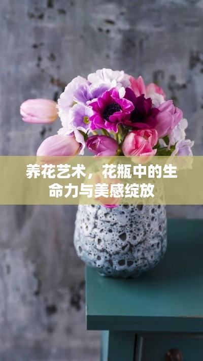 养花艺术,花瓶中的生命力与美感绽放