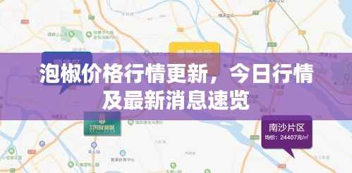 泡椒价格行情更新,今日行情及最新消息速览