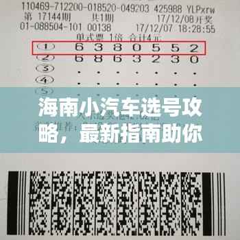 海南小汽车选号攻略,最新指南助你轻松选号!