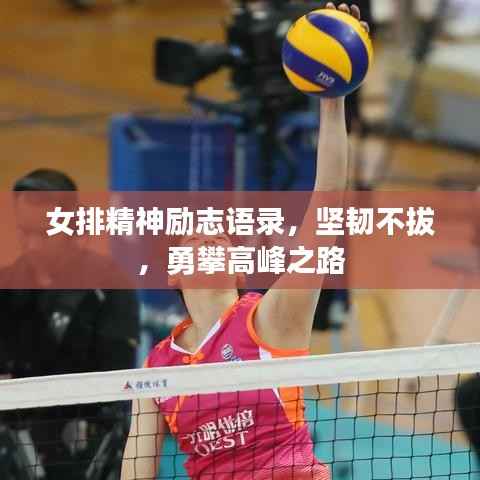 女排精神励志语录,坚韧不拔,勇攀高峰之路