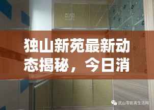 独山新苑最新动态揭秘,今日消息抢先看
