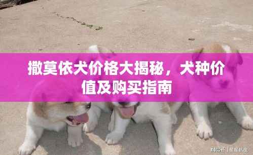 撒莫依犬价格大揭秘,犬种价值及购买指南
