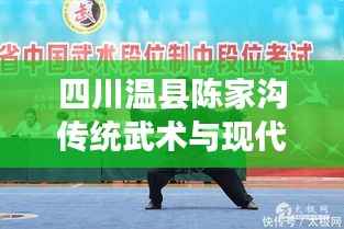 四川温县陈家沟传统武术与现代文化交融的最新新闻头条