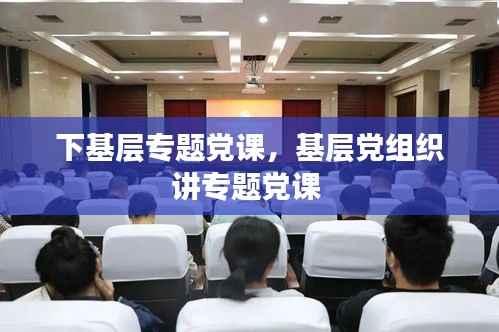 下基层专题党课,基层党组织讲专题党课