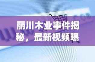 丽川木业事件揭秘,最新视频曝光,深度探究背后真相