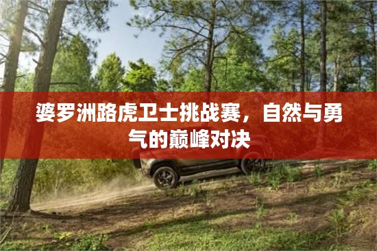 婆罗洲路虎卫士挑战赛，自然与勇气的巅峰对决