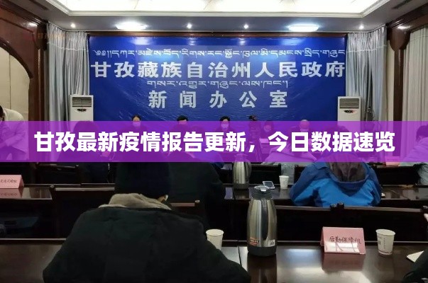甘孜最新疫情报告更新,今日数据速览