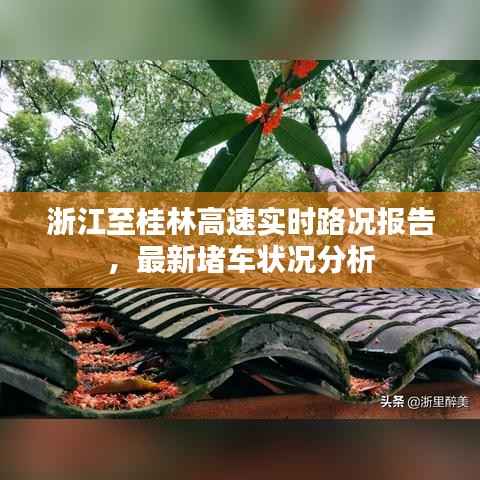 浙江至桂林高速实时路况报告,最新堵车状况分析