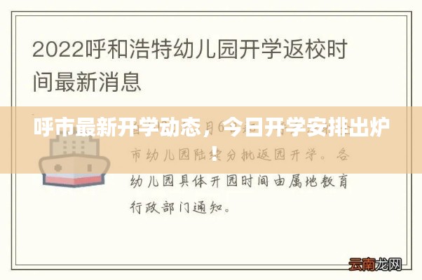 呼市最新开学动态,今日开学安排出炉!