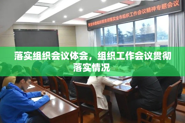 落实组织会议体会,组织工作会议贯彻落实情况