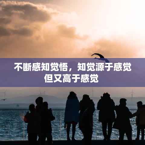 不断感知觉悟，知觉源于感觉但又高于感觉 