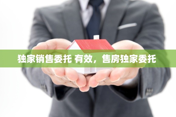 独家销售委托 有效,售房独家委托