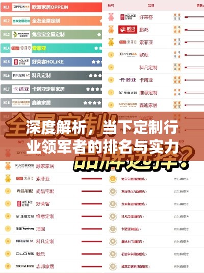 深度解析,当下定制行业领军者的排名与实力比拼!