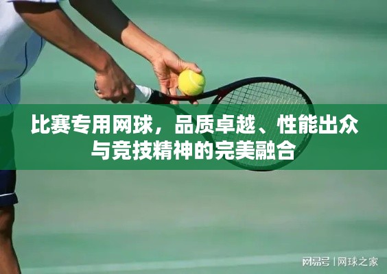 比赛专用网球,品质卓越、性能出众与竞技精神的完美融合