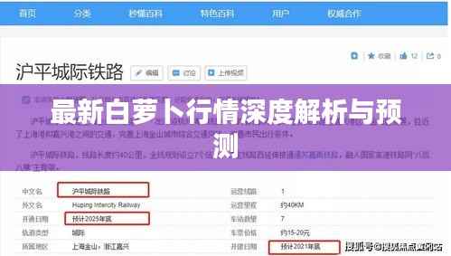 最新白萝卜行情深度解析与预测