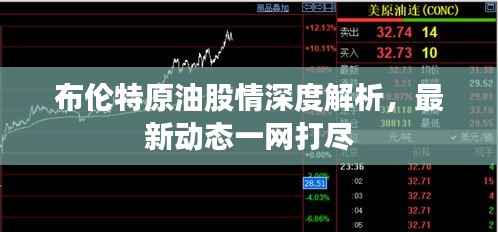 布伦特原油股情深度解析，最新动态一网打尽